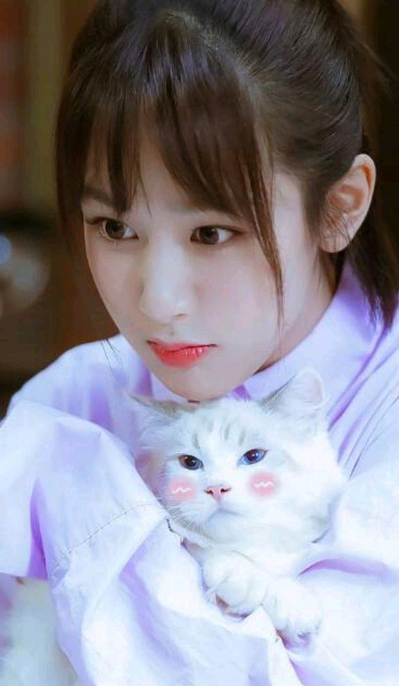 金鹰女神|官方公布金鹰女神候选名单，这一票你会投给谁？