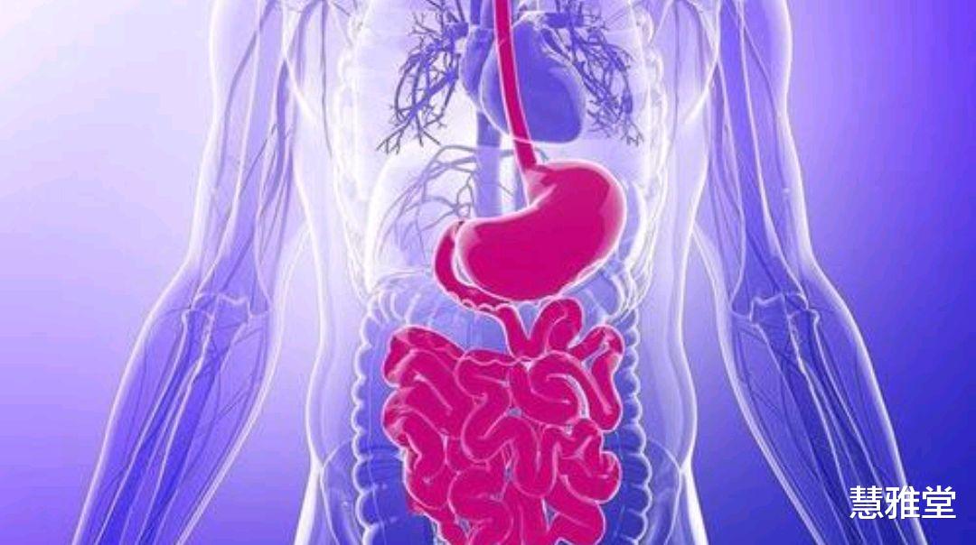 |肠道健康,免疫力或更好,想要清理肠道,2个方法简单但效果较好