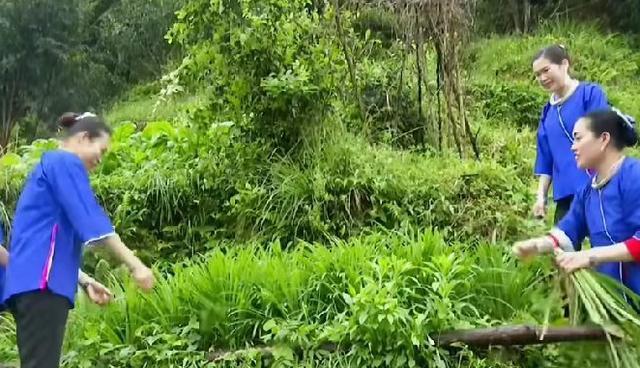 韭菜长不好,用发酵豆腐水浇一浇,可促韭菜长得油绿粗壮