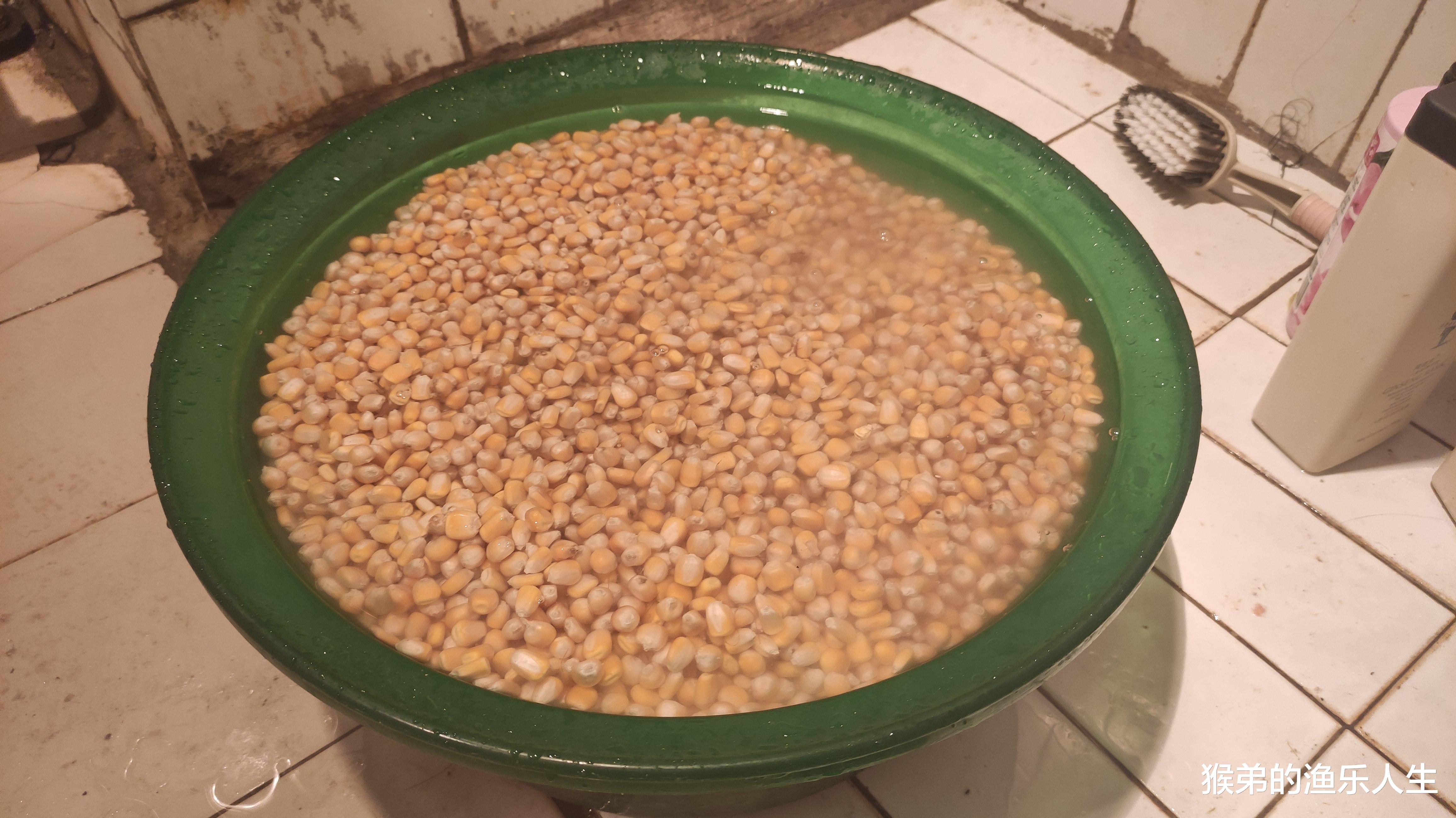 |“打重窝”就能钓到巨物?别再上当了,钓大鱼还是老办法好使