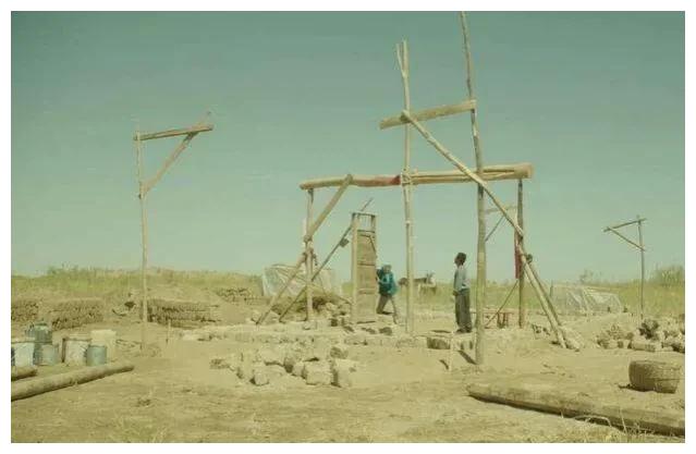 电影|看完《隐入尘烟》再看《hello,树先生》,隐入尘烟满满套路