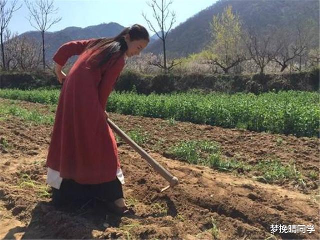 终南山隐居姑娘，还没有修道成仙，却败在了山上的房租上