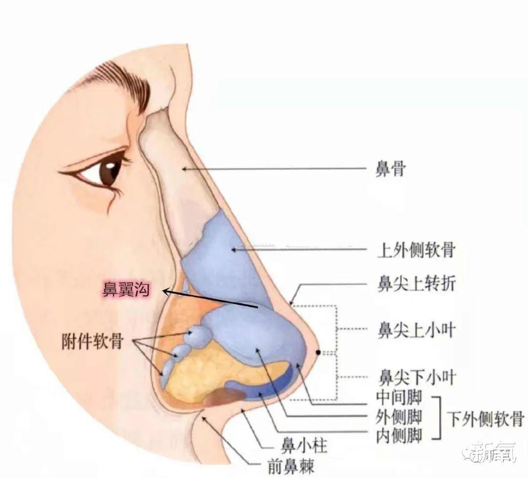 刘亦菲|为什么能有三分像刘亦菲，就很美了？