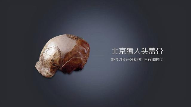 中国人起源于非洲吗?北京猿人是我们的祖先吗?