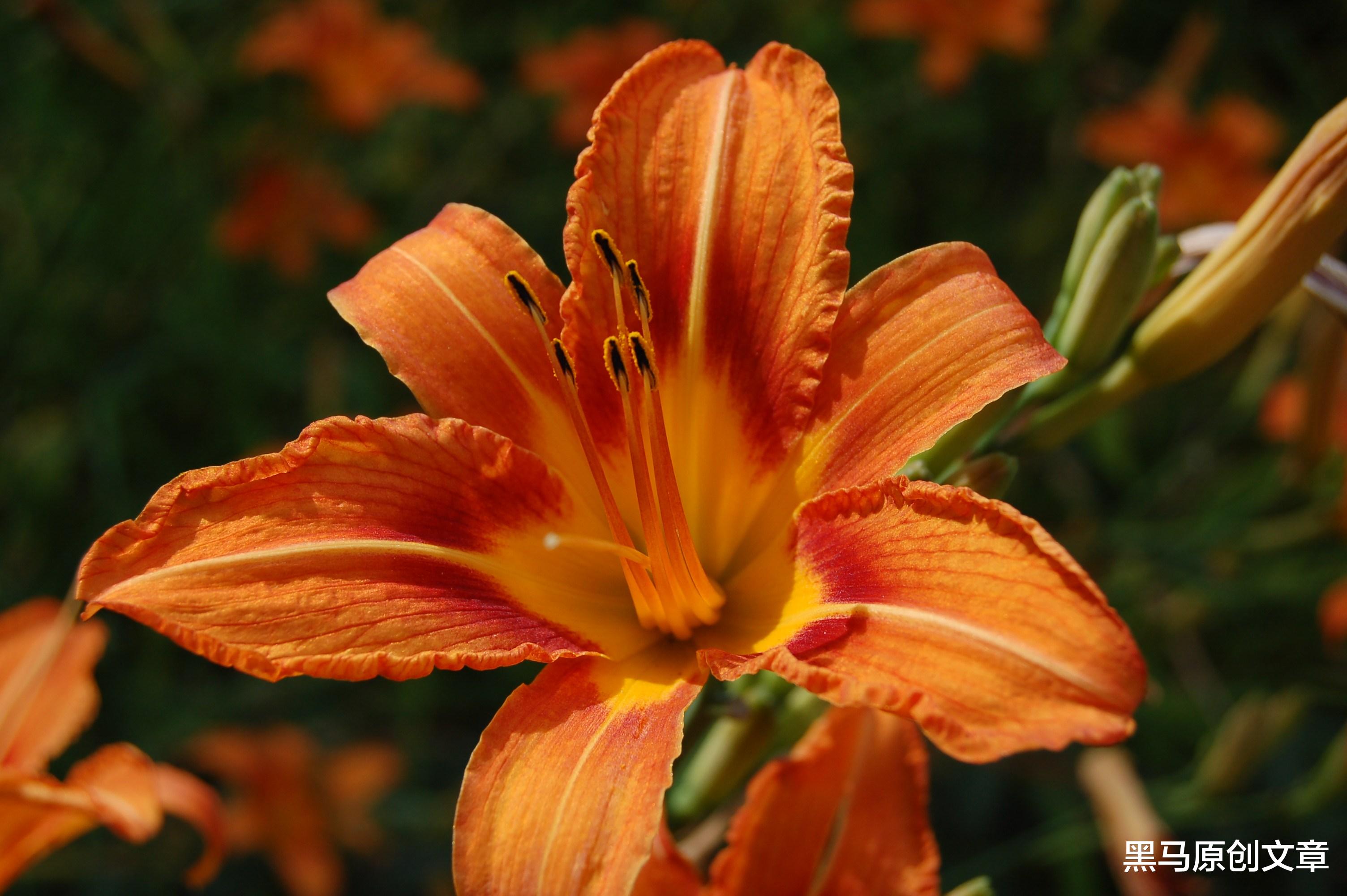 全职妈妈|做全职妈妈,是我够幸运了?