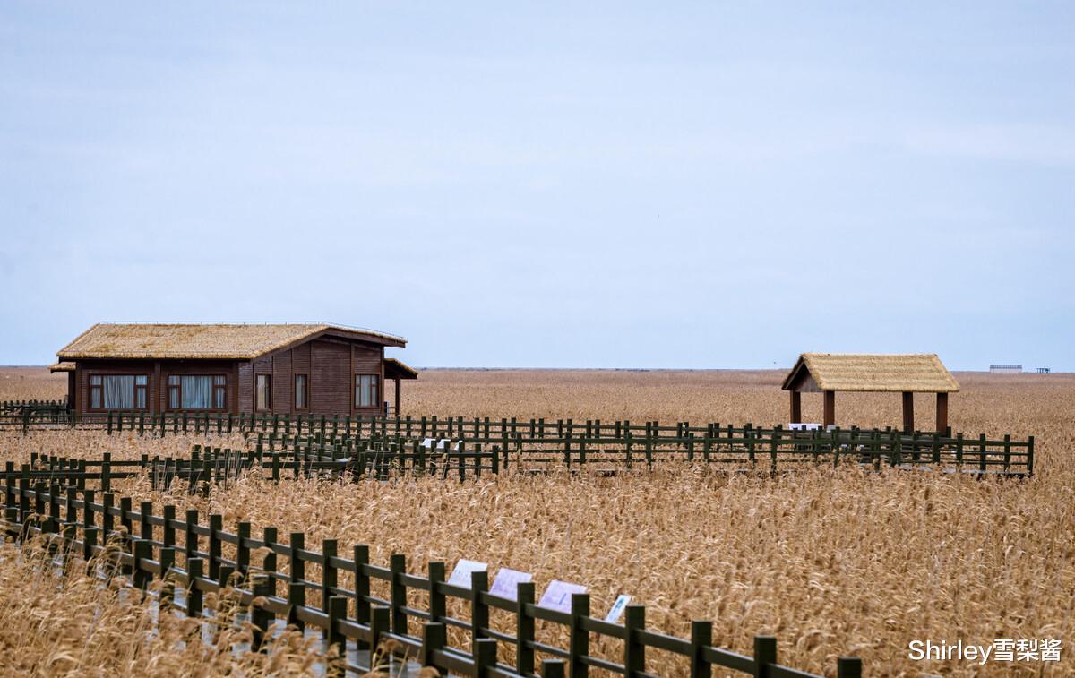 崇明岛|这座分属两省的岛屿,归属常让人一头雾水,却是长三角的后花园
