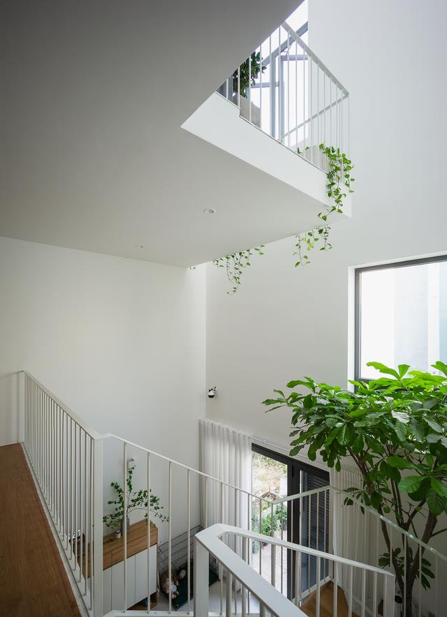 利用天井设计楼梯做室内花园,丝毫不输有院子的别墅,真羡慕!