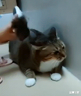 “进公司第一天,开饭半小时,没人动筷子!”