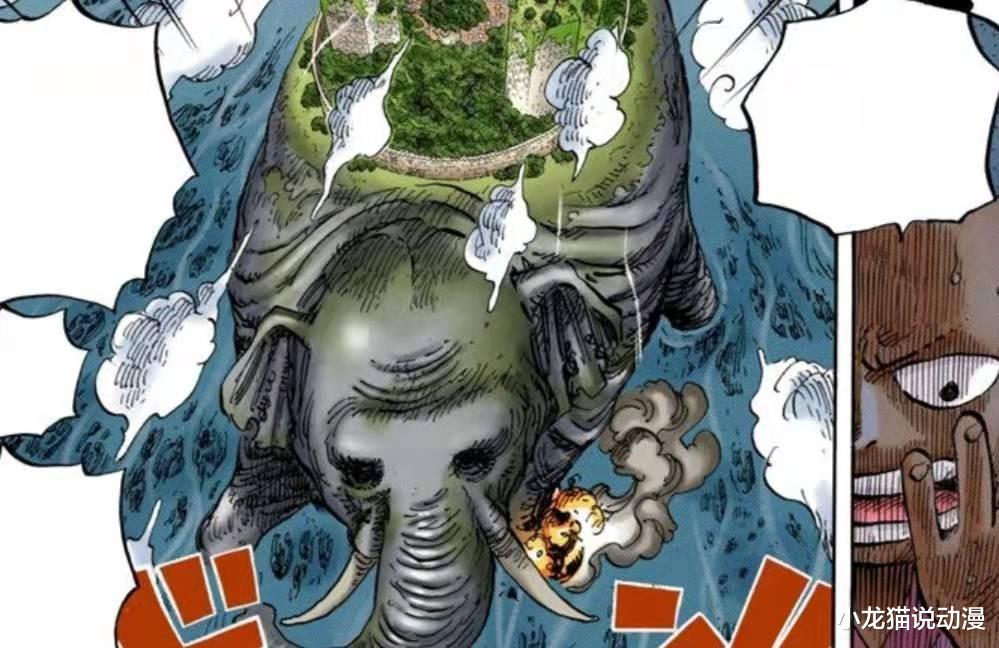 恶魔果实|海贼王1037话:象主与未觉醒的恶魔果实,与它千年罪过有关