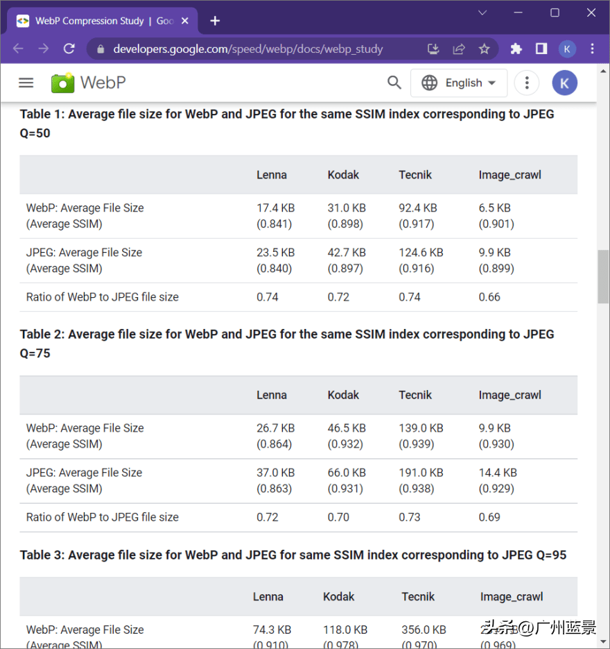 浏览器|广州蓝景分享—HTML+CSS功能，让页面加载速度提高数倍