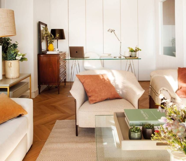 文竹|客厅、书房养文竹,5个技巧,常年绿油油,窜成拔高的“小森林”