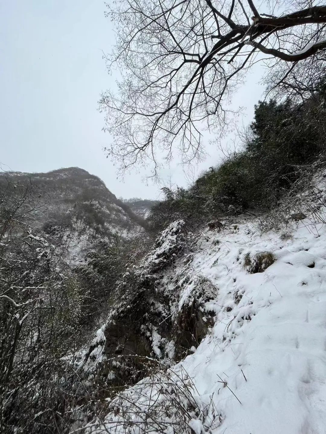 小年夜|小年夜，终南山有雪