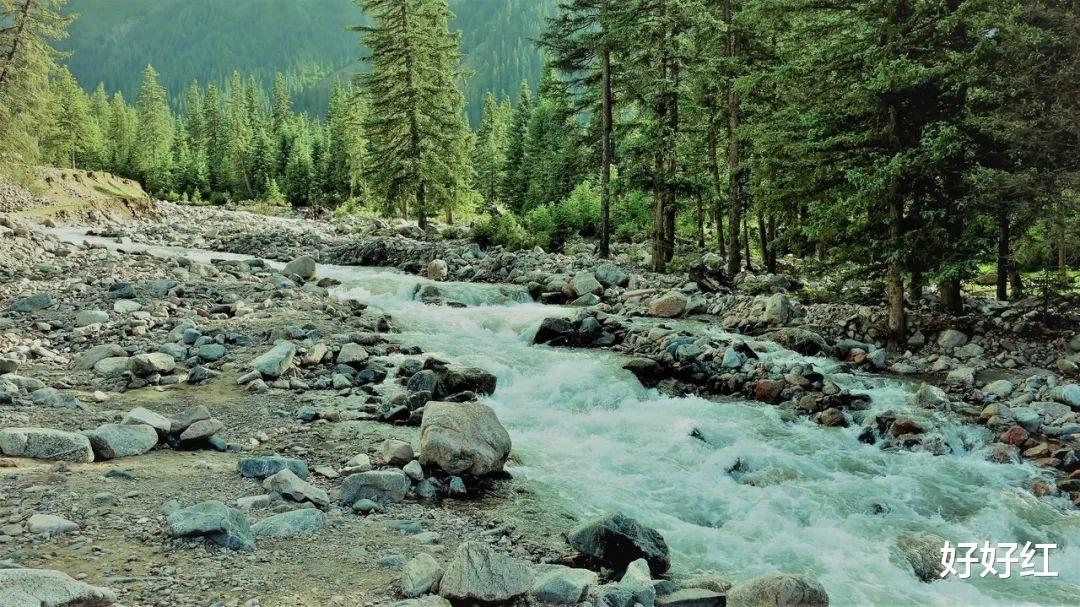 古镇|一半是鲜花、一半是美女，再过30天，这个五彩斑斓的省份，就美疯了！