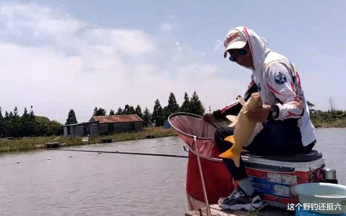 鲢鳙|别再上当了！添加剂在野钓中有没有作用？如何正确看待添加剂？