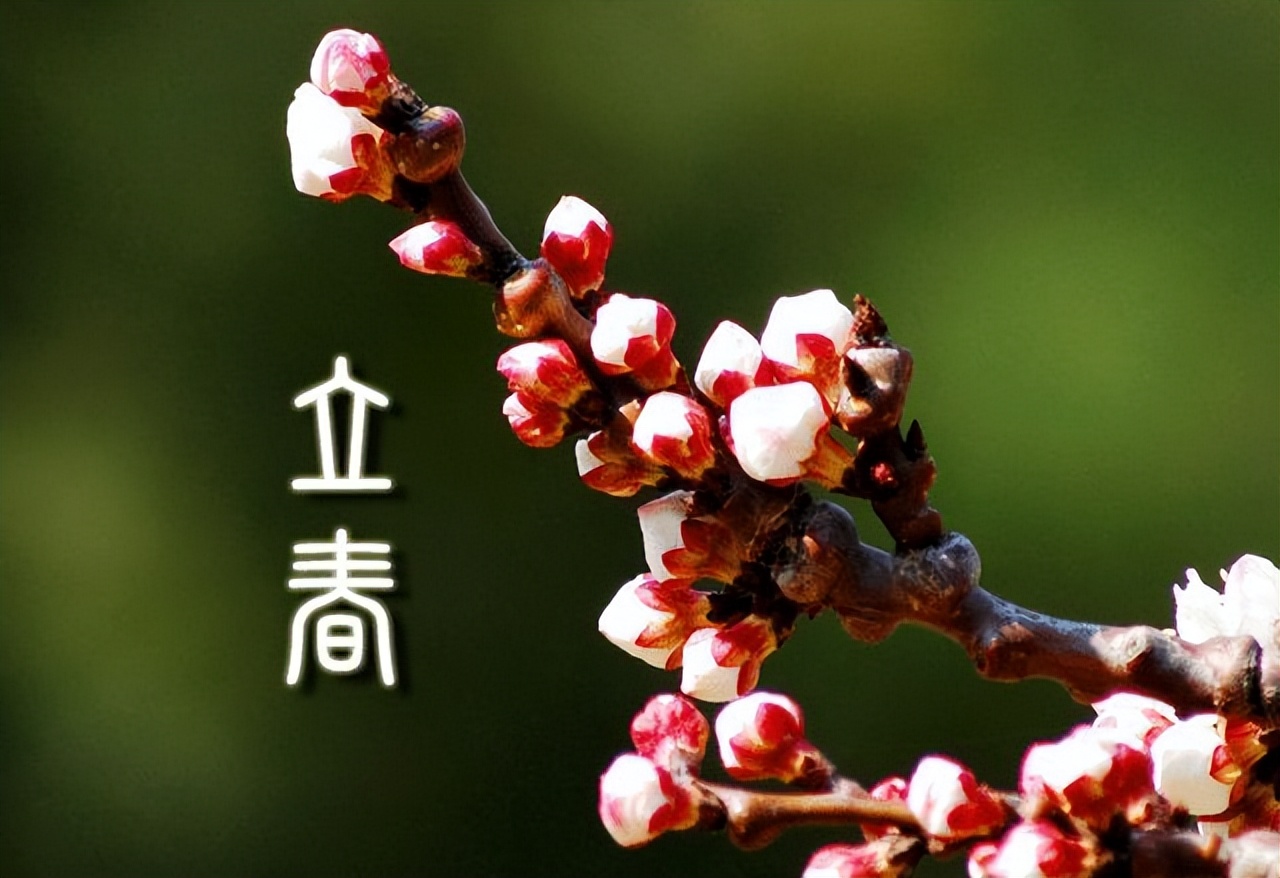 "立春不躲春,年后是非多",今年立春不一般:老人说7人要躲春 - 文化