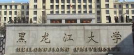 黑龙江女首富戴秀丽,身价95亿却惨遭离婚,丈夫:我已厌倦太富裕