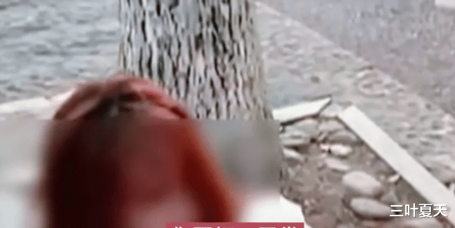 浙江杭州,美女乘车脚翘到靠背上,惨遭女司机狂扇耳光!