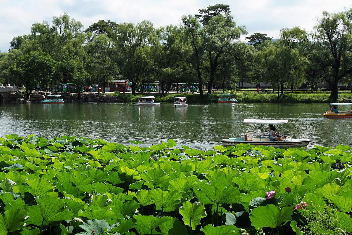寺庙|炎热的夏季，哪里是避暑的好去处？