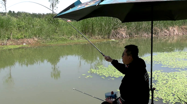 |野钓死窝了怎么办？弄清楚原因，亡羊补牢不如事先预防