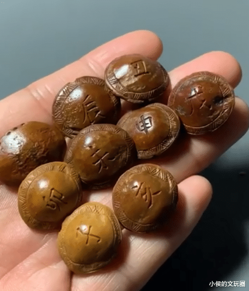 椰枣|不要随意扔啦！这种核分分钟盘出牛津红！