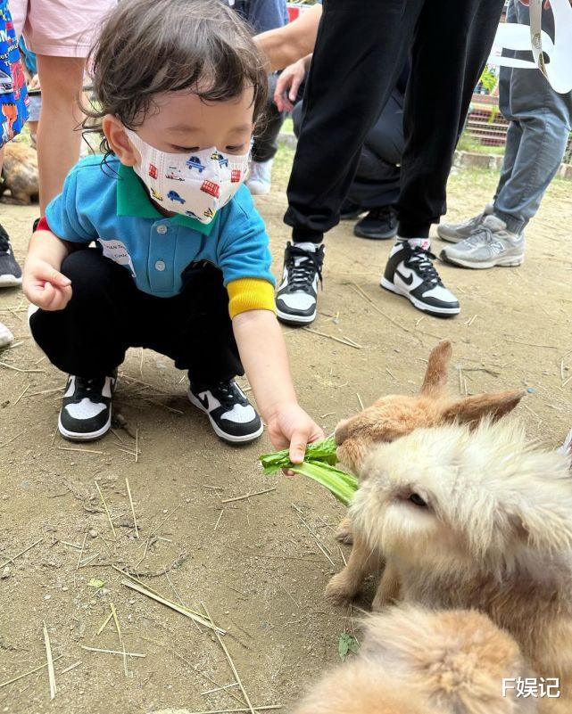 陈山聪|陈山聪携妻参加儿子学校的亲子旅行 一家三口玩尽兴拍全家福