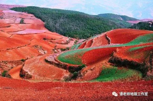 土壤到底是什么?又有什么分布特点呢?附中国土壤的分类及分布!