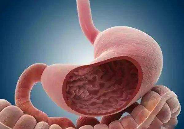 胃病|胃病很难好,调养胃粘膜是关键,2个方法,帮助恢复,胃更好!