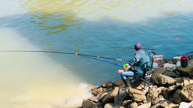 饵料|用商品饵冬钓只能用拉饵?这种情况下搓饵效果更好