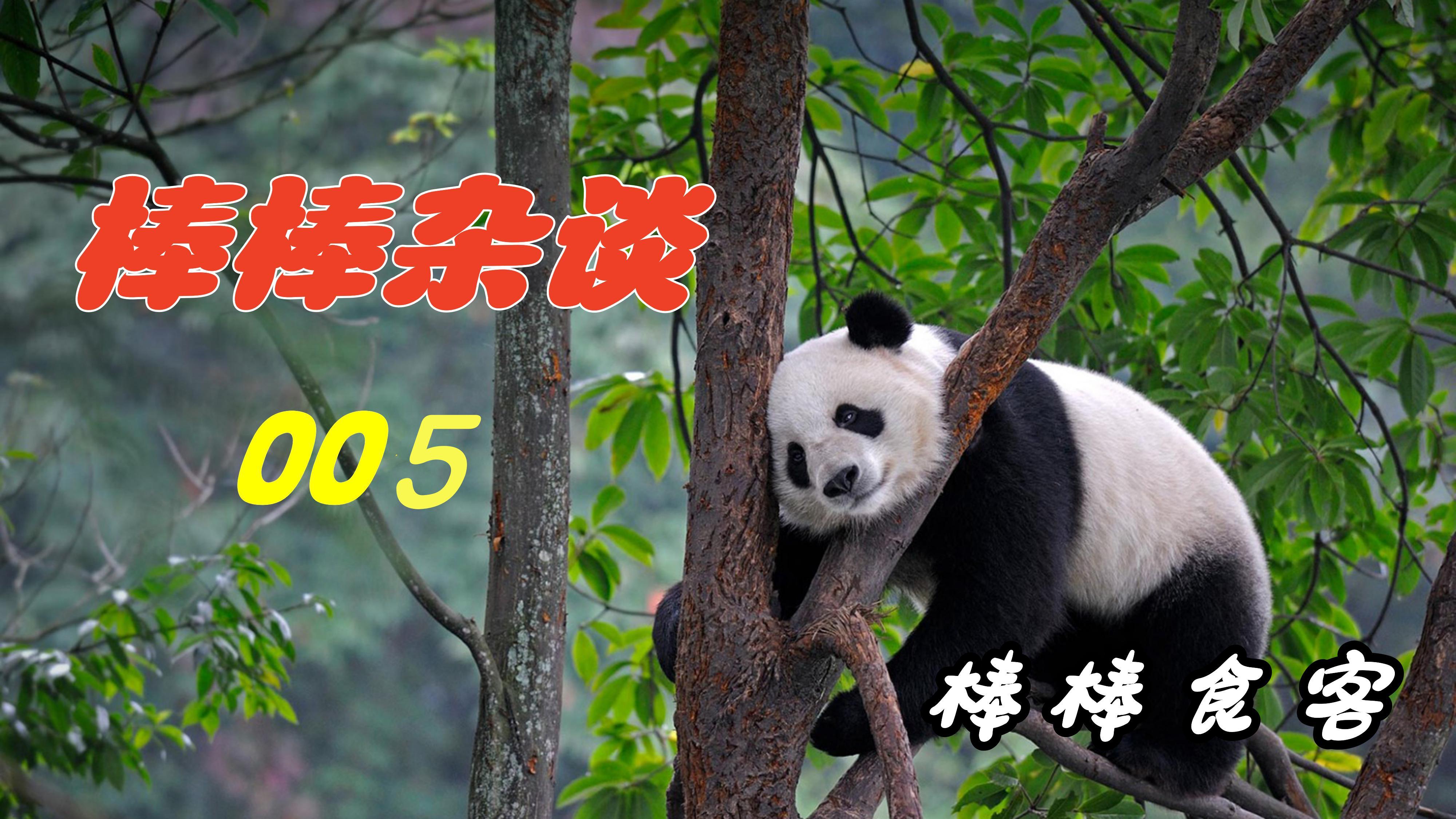 慢慢壮身路,我走的好辛苦 第5集