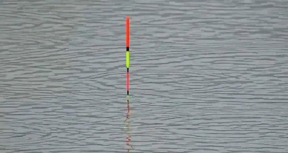 |新手钓鱼常见的致命问题：大漂配小钩，水里有鱼也难钓