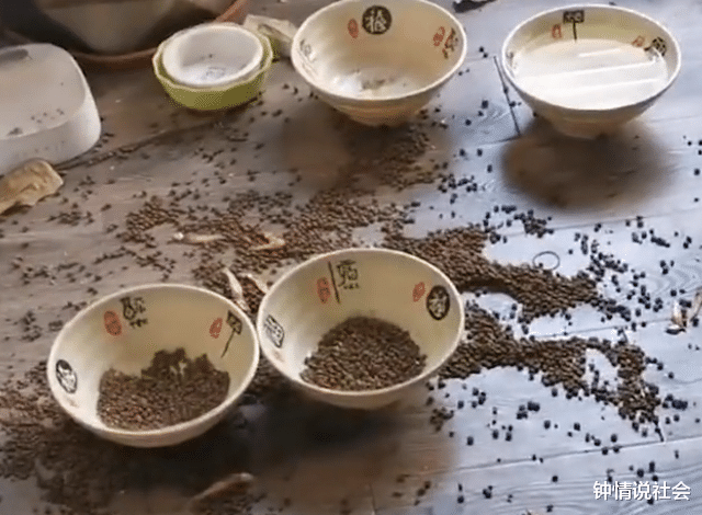 南京|上海一女子时隔俩月回办公室,推看门气疯转头乐疯:它竟然还活着