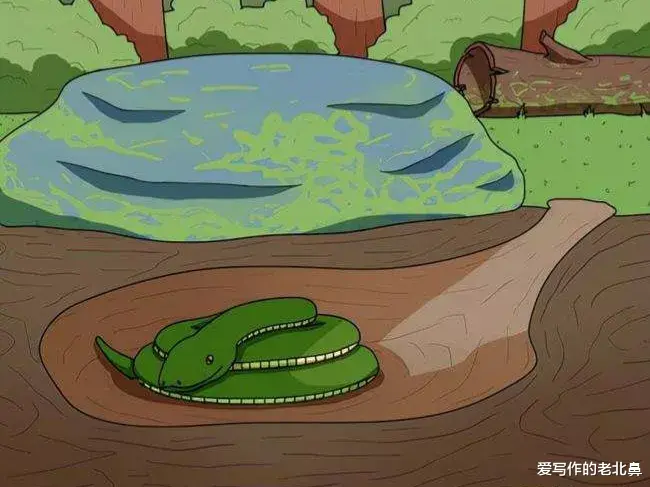蛇为什么要冬眠?冬眠的蛇为何毫无自保能力,连老鼠都敢欺负它?