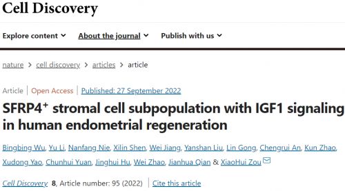 CD（IF=38|浙江大学邹晓晖团队发现人子宫内膜再生的调控新机制