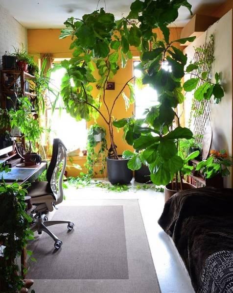 发现一户人家,家里摆了1000多盆花,那叫一个高级,拍给大家看