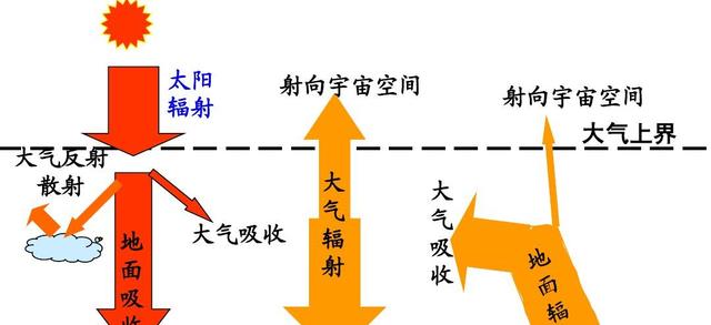 地表温度超过70摄氏度是什么概念?蚂蚁不是被烫死,就是被烤熟!