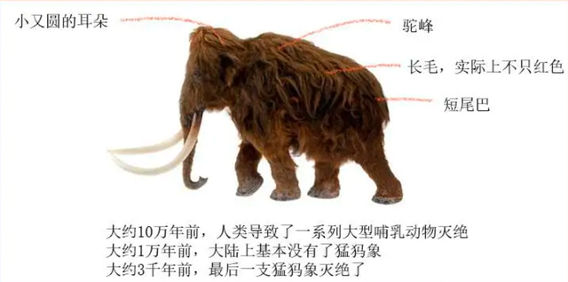 人类要警惕了!加拿大北部冻土带内发现一头4万年前动物遗骸