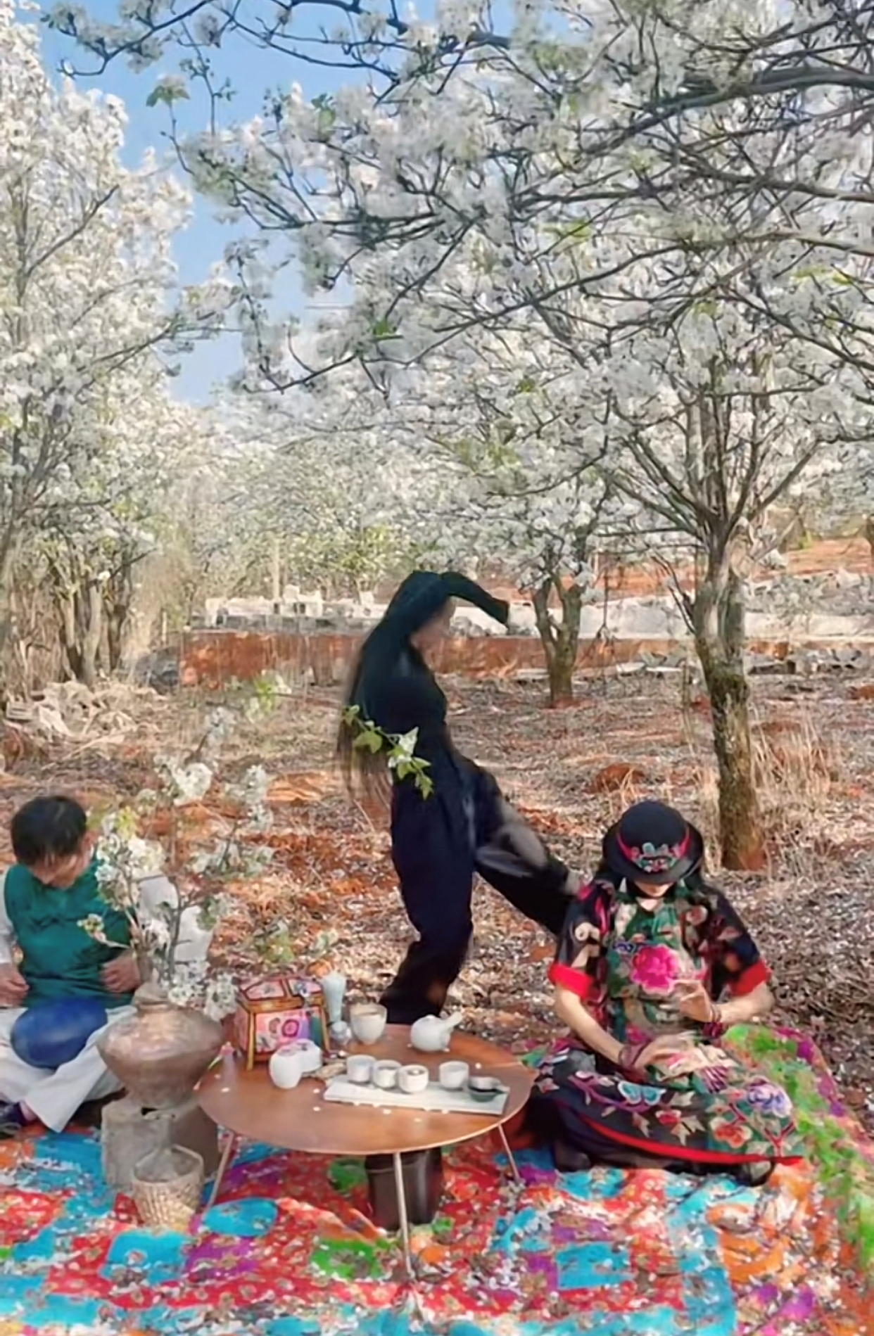 杨丽萍|杨丽萍姐妹俩赏花品茶，为拍照扯树枝摇花瓣雨，妹妹戴鸽子蛋抢镜