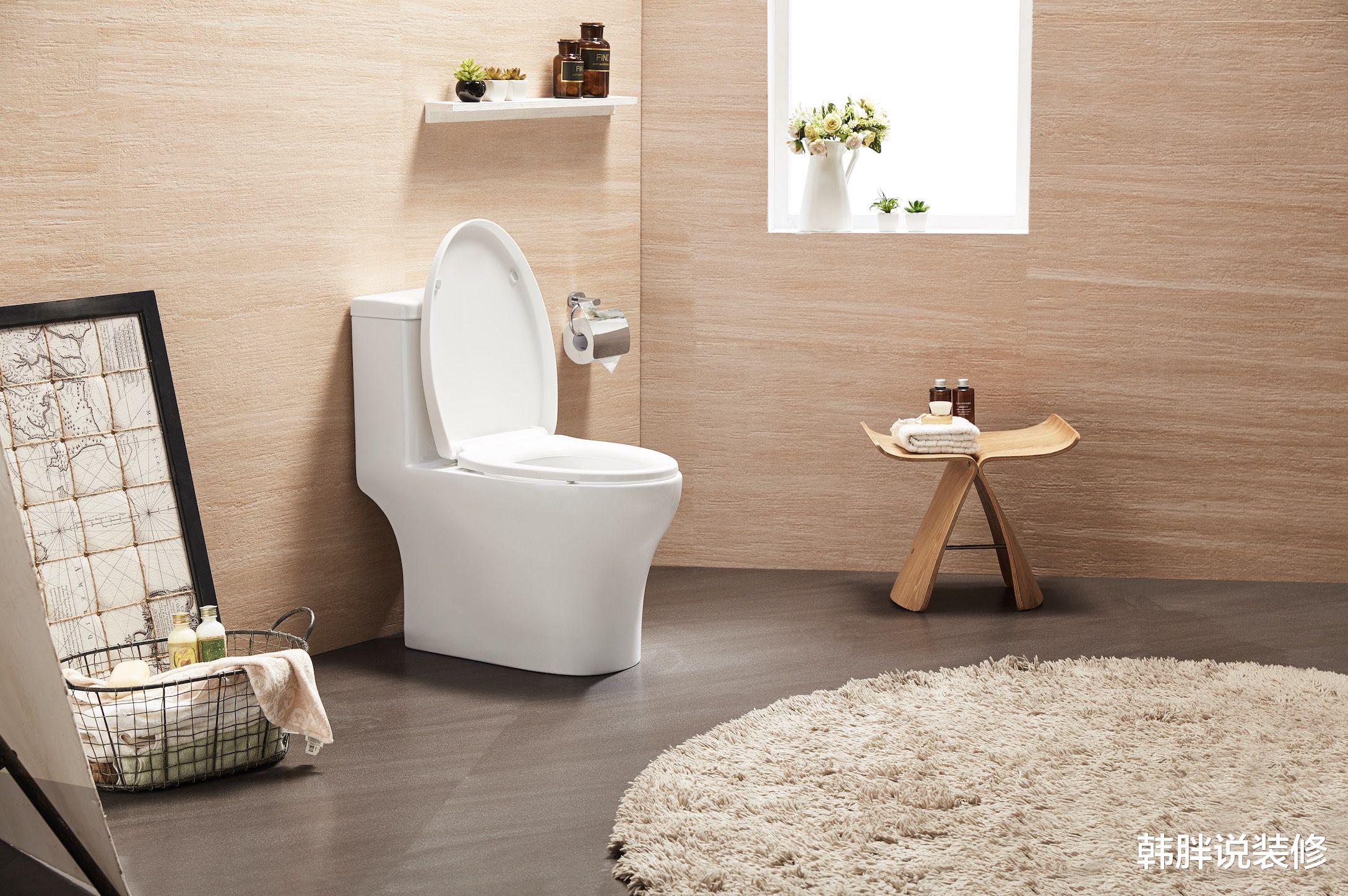 卫生间不一定要装马桶,聪明人都装这种,干净卫生又舒服