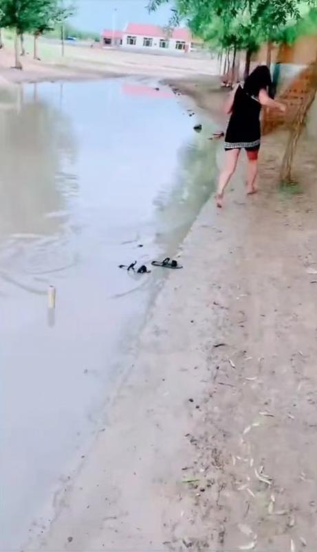 一女子在积水的路面上放鞭炮,鞭炮还没点着,自己就先被吓跑了