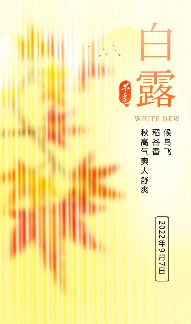白露图片配图唯美高清带字大全,白露朋友圈问候语文案句子