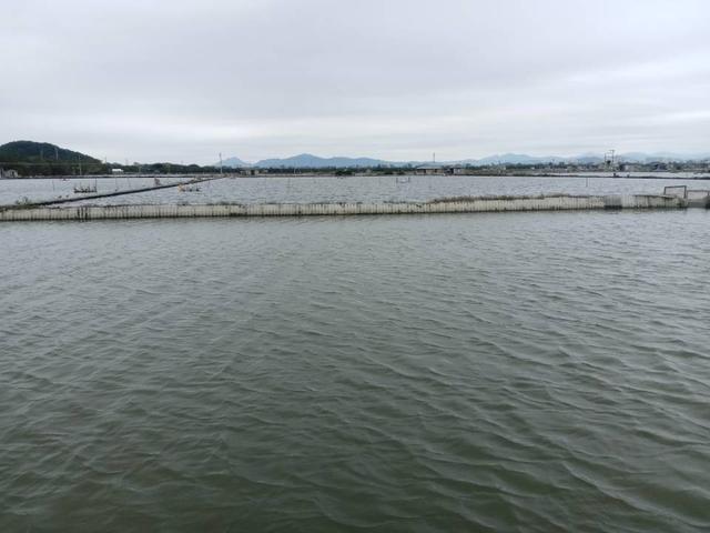 |钓鱼站队题:外出钓鱼,你是看时间?还是看天气?