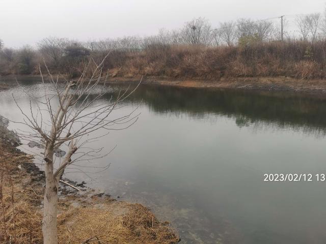 |作钓、考察又做酒米，钓鱼人的生活乐趣多多。