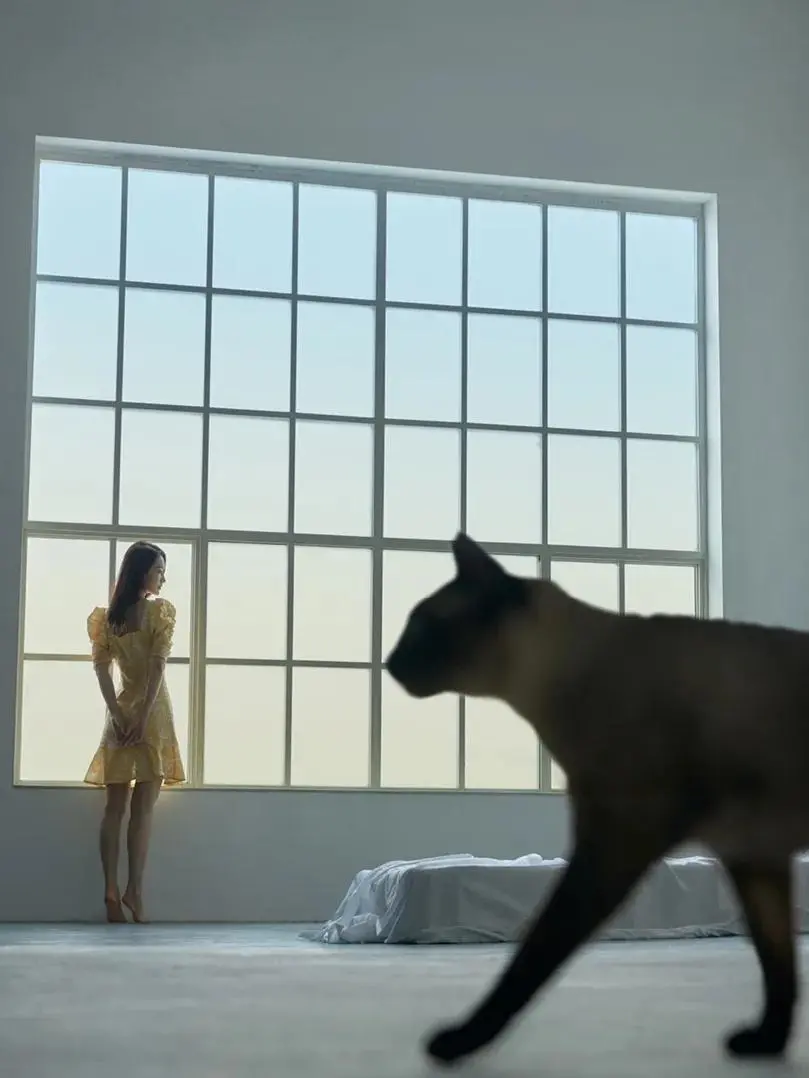 李沁|明星壁纸李沁写真壁纸