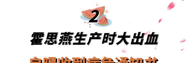 霍思燕|“京圈大小姐”霍思燕：出门乘坐私人飞机，一只宠物狗价值600万