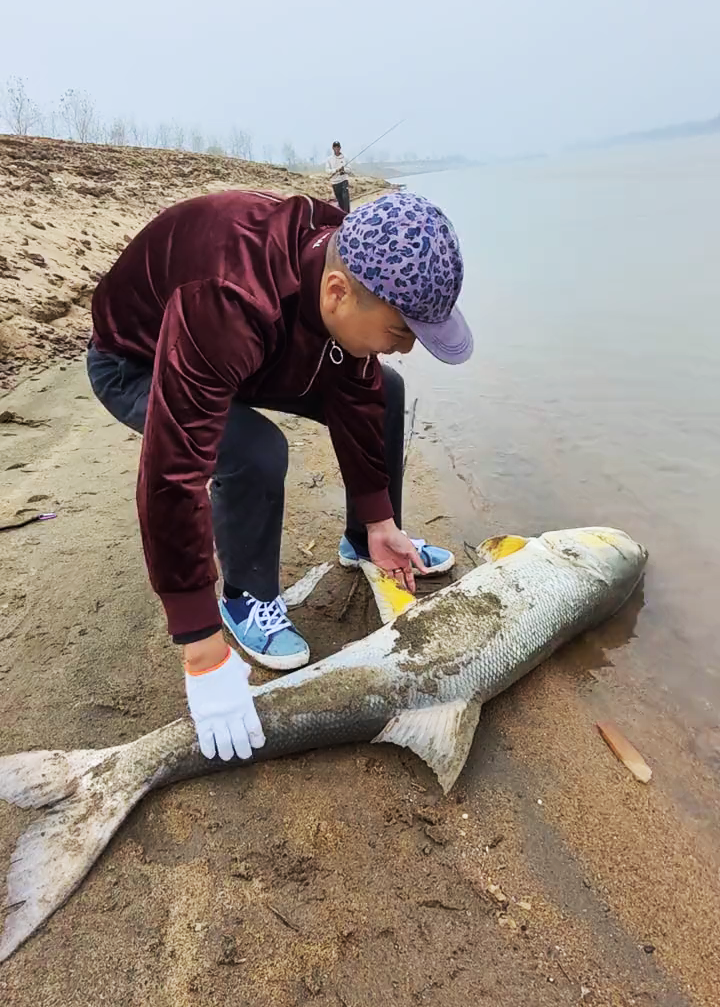 |江西钓友钓起59斤“残疾水老虎”后放生,却惹来嘲讽