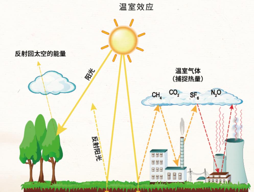 南极磷虾:5亿吨的“海上金矿”,我国将会成为最大“黑马”?