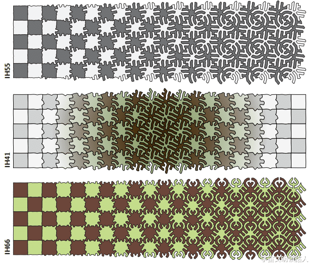 用于镶嵌变形的曲线演化方案