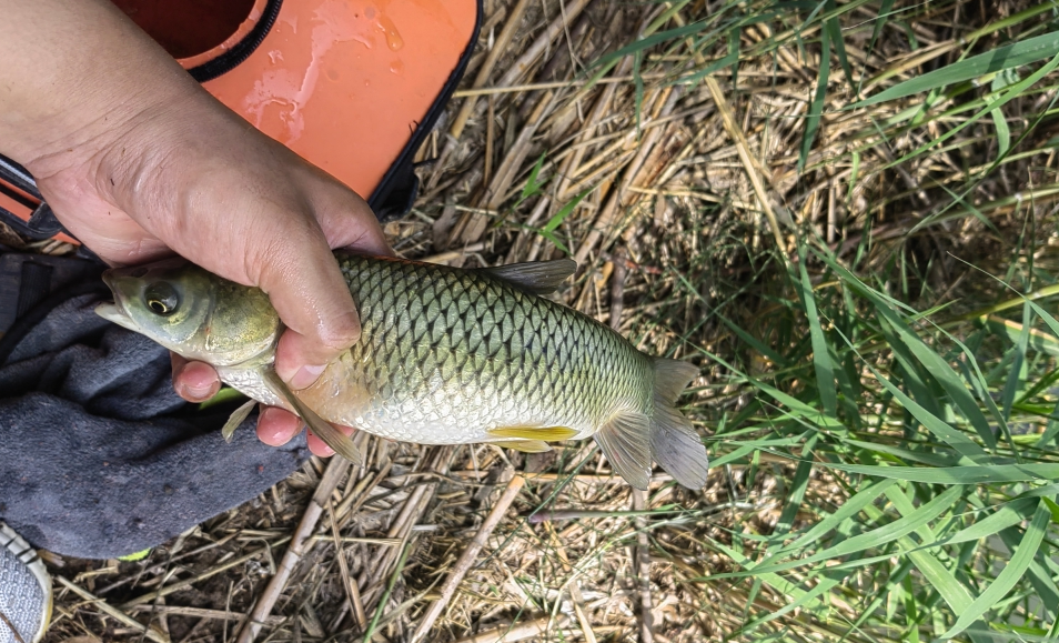 |鱼竿到底怎么选?贵的就好么?钓重大的就好么?什么鱼竿才是真好