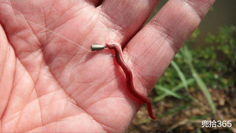 原神|狗尾巴草花絮钓鲈鱼?男子神操作看懵众人,网友:不传谣不信谣