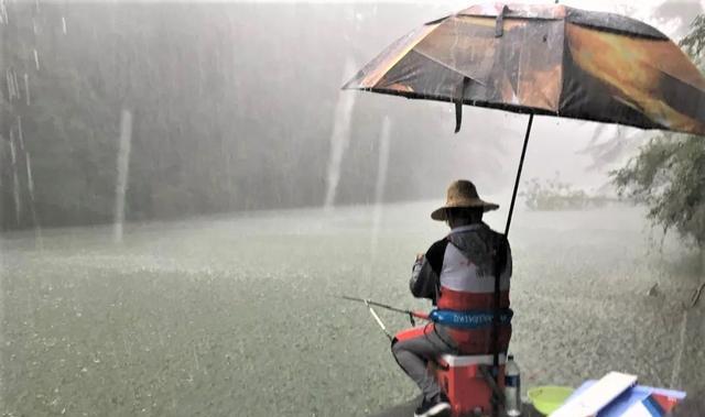 枇杷|为何现在钓鱼装备越好,钓的鱼却越少?在什么情况下钓鱼不安全?